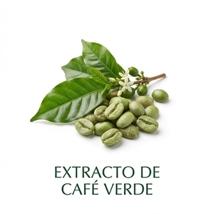 Extracto de Té Verde