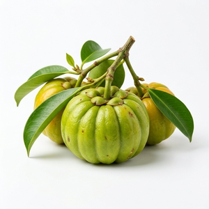 Garcinia Cambogia